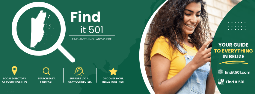 Find It 501