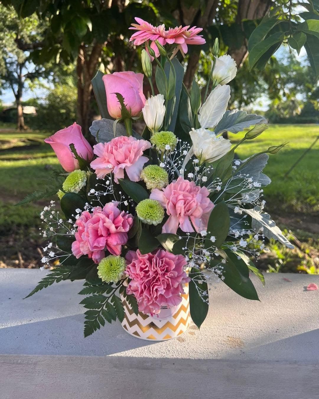 Hello Roses